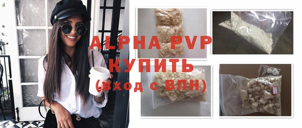 спайс Галич