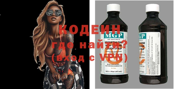 стафф Гатчина
