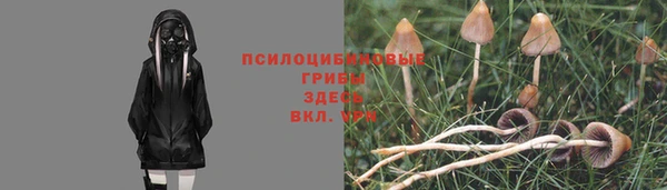 прущие крисы Краснотурьинск