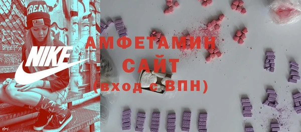 стафф Гатчина