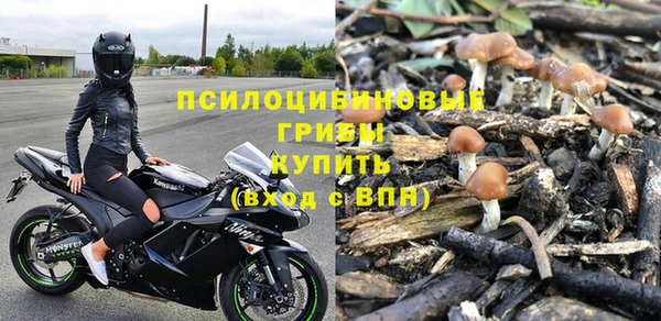 прущие крисы Краснотурьинск