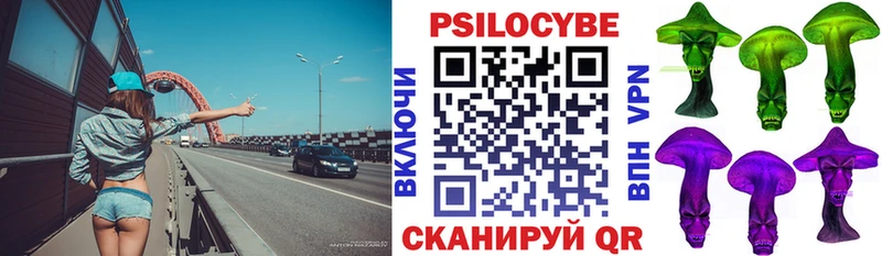 Галлюциногенные грибы Psilocybine cubensis  Киселёвск 